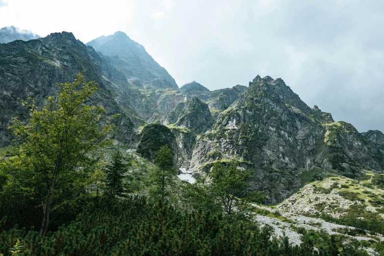a view of a mountain range with trees in the foreground, by Emma Andijewska, unsplash contest winner, baroque, rocky terrain, poland, 2000s photo, conde nast traveler photo