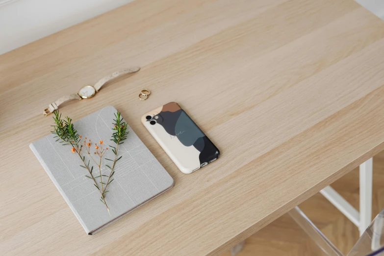 a cell phone sitting on top of a wooden table, a picture, inspired by Jean Arp, trending on pexels, minimalist home office, nordic pastel colors, woody foliage, dwell