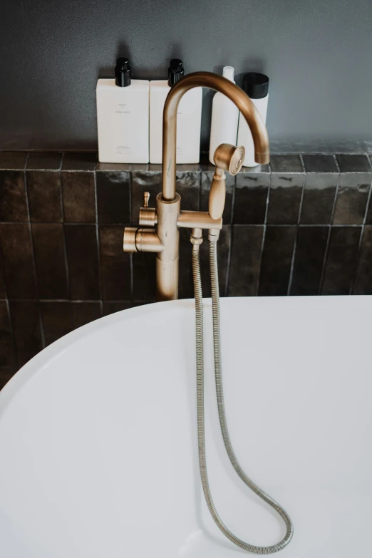 a white bath tub sitting inside of a bathroom, by Andries Stock, unsplash, art nouveau, made of bronze, hoses, close-up product photo, stainless steal