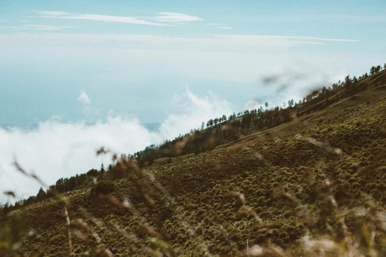 a man standing on top of a lush green hillside, trending on unsplash, sumatraism, avatar image, background image, on clouds, dirt and grawel in air