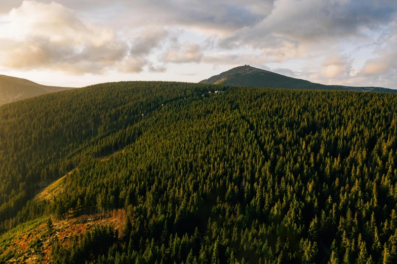 a bird's - eye view of a mountain with trees in the foreground, by Emma Andijewska, unsplash contest winner, hurufiyya, late summer evening, 4 k cinematic panoramic view, evergreen, multiple stories