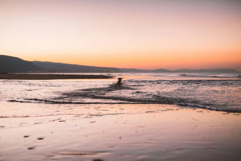 a man riding a wave on top of a sandy beach, unsplash contest winner, minimalism, pink sunset, “ iron bark, trailing off into the horizon, early evening