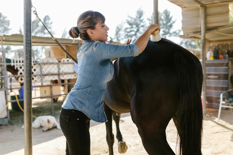 a woman standing next to a black horse, pexels contest winner, showing her shoulder from back, working hard, local conspirologist, mina petrovic