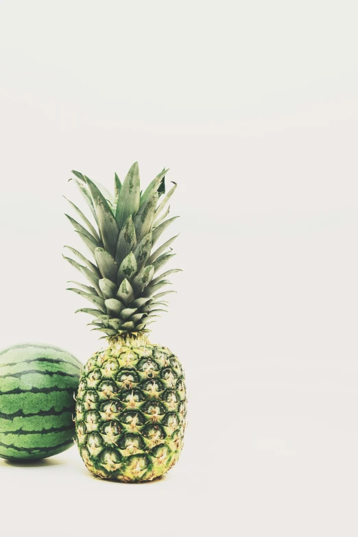 a pineapple and a watermelon on a white surface, by Adam Marczyński, trending on unsplash, grainy quality, greens), stacked image, ilustration