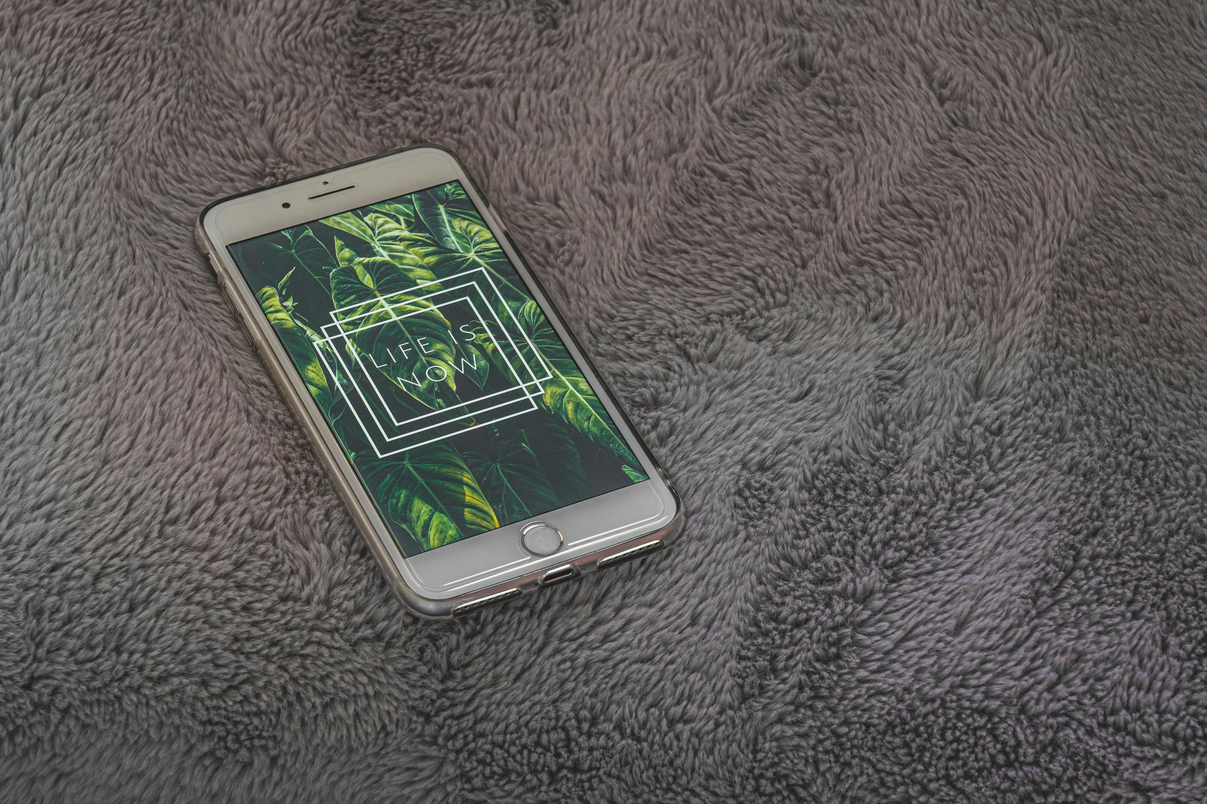 a close up of a cell phone on a blanket, a portrait, pixabay, plants and jungle, geometric wallpaper, high resolution design, composite