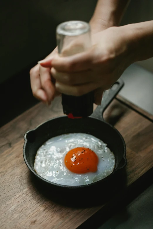 a person frying an egg in a frying pan, inspired by Kanō Tan'yū, renaissance, red caviar instead of sand, dwell, premium quality, recipe