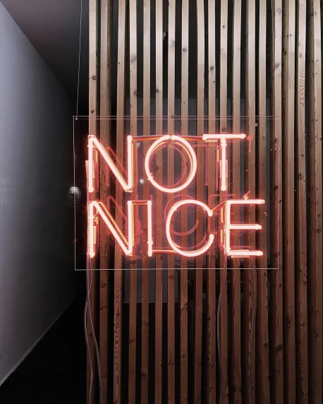 there is a neon sign that says not nice, an album cover, trending on unsplash, no cropping, neon standup bar, notices, translucent body