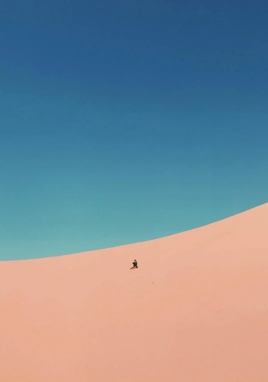 a person standing on top of a sand dune, a minimalist painting, unsplash contest winner, running in savana, shades of pink and blue, ignant, dan mcpharlin