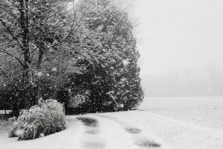 a black and white photo of a snow covered road, 👰 🏇 ❌ 🍃, driveway, southern gothic scene, snowflakes