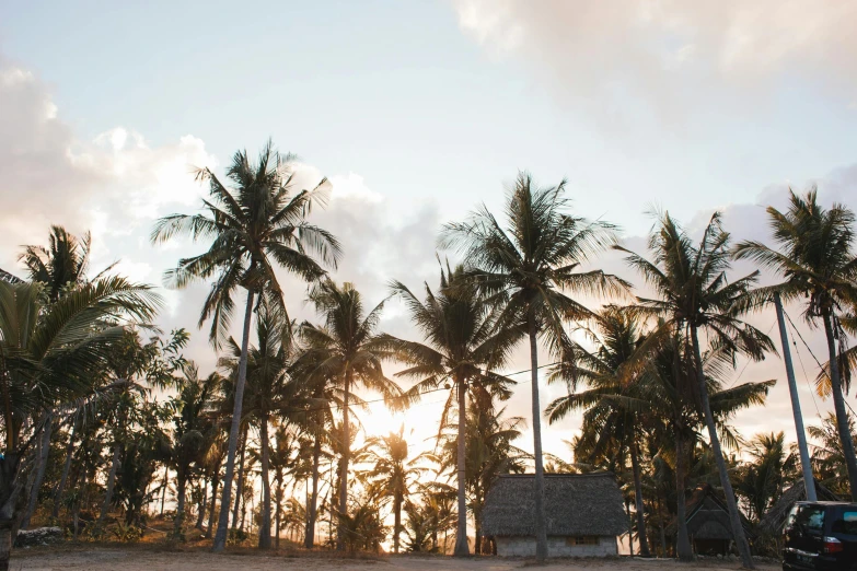 a car parked on the side of a road next to palm trees, by Jessie Algie, unsplash, bamboo huts, relaxing on the beach at sunset, cabbage trees, seen from below