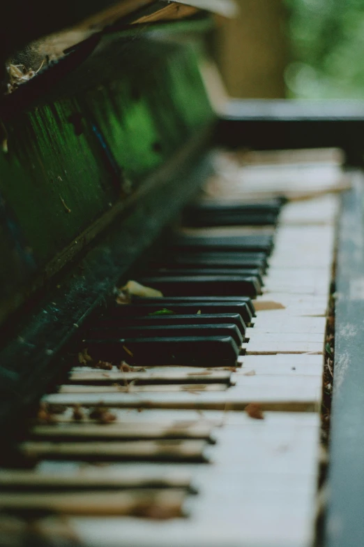 an old piano sitting in the middle of a forest, an album cover, inspired by Elsa Bleda, unsplash, muted green, medium close up shot, battered, keys