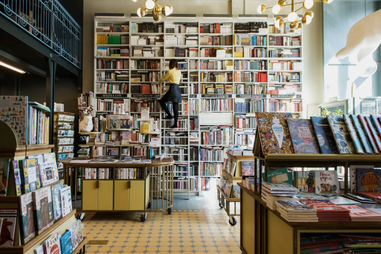 a book store filled with lots of books, maximalism, tall ceiling, full - length photo, gabriel hardman, thumbnail