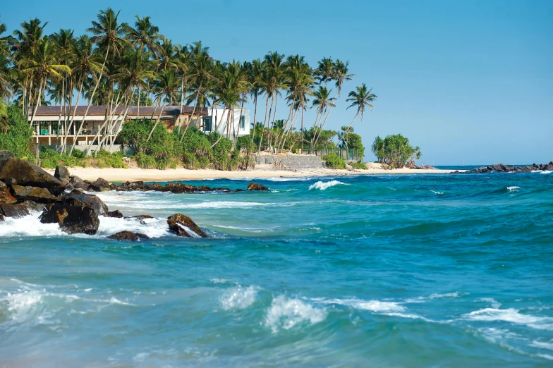 a sandy beach with palm trees in the background, hurufiyya, beachfront mansion, clear blue water, gq, sharandula