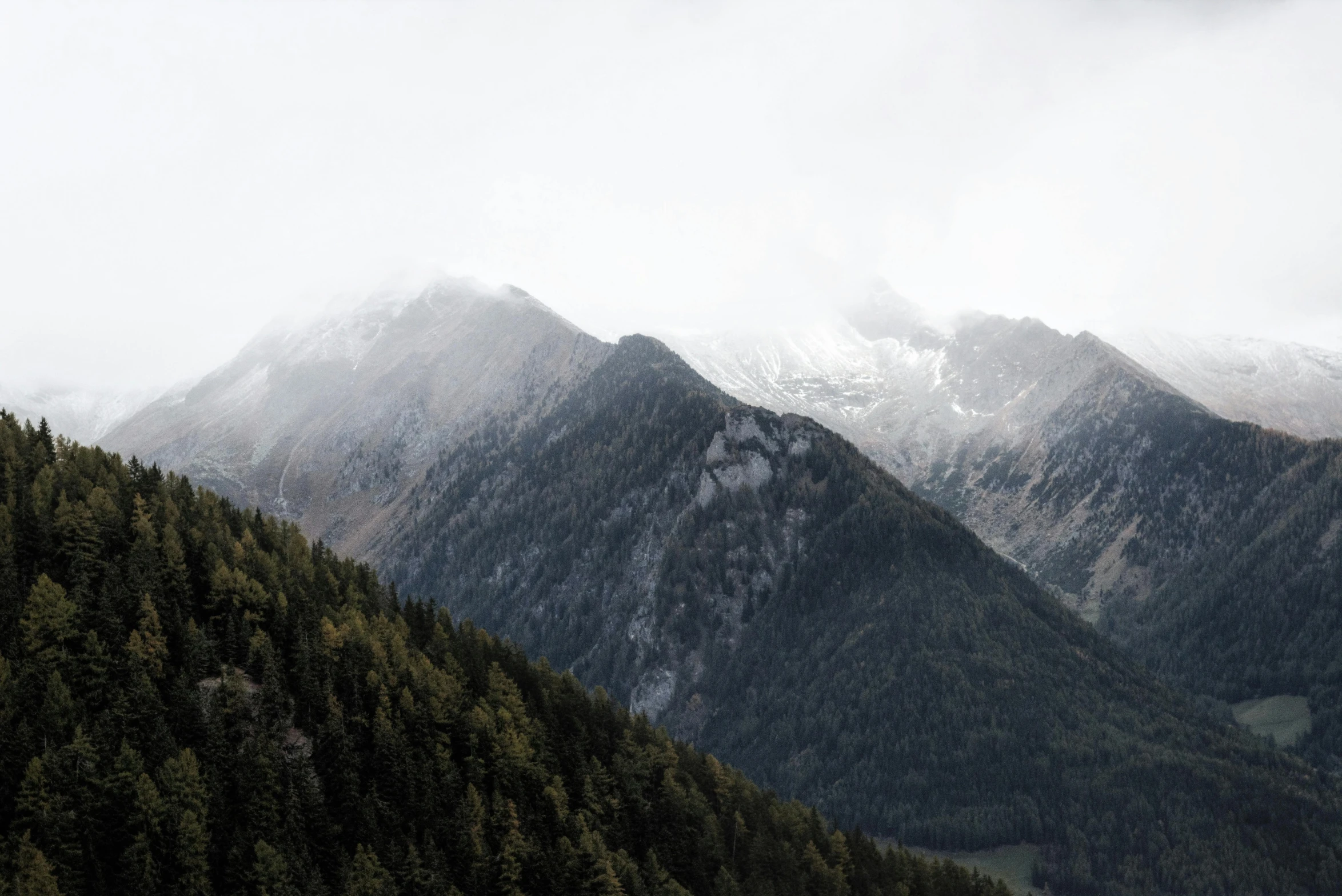 a couple of cows standing on top of a lush green hillside, by Matthias Weischer, pexels contest winner, dark pine trees, with a snowy mountain and ice, under a gray foggy sky, “ aerial view of a mountain