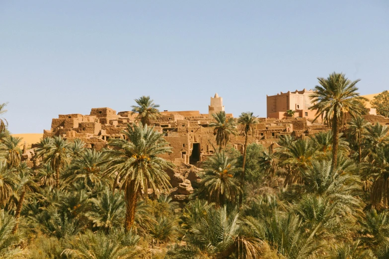 a small village surrounded by palm trees in the desert, pexels contest winner, les nabis, ochre, mud and brick houses, overlooking, arab inspired