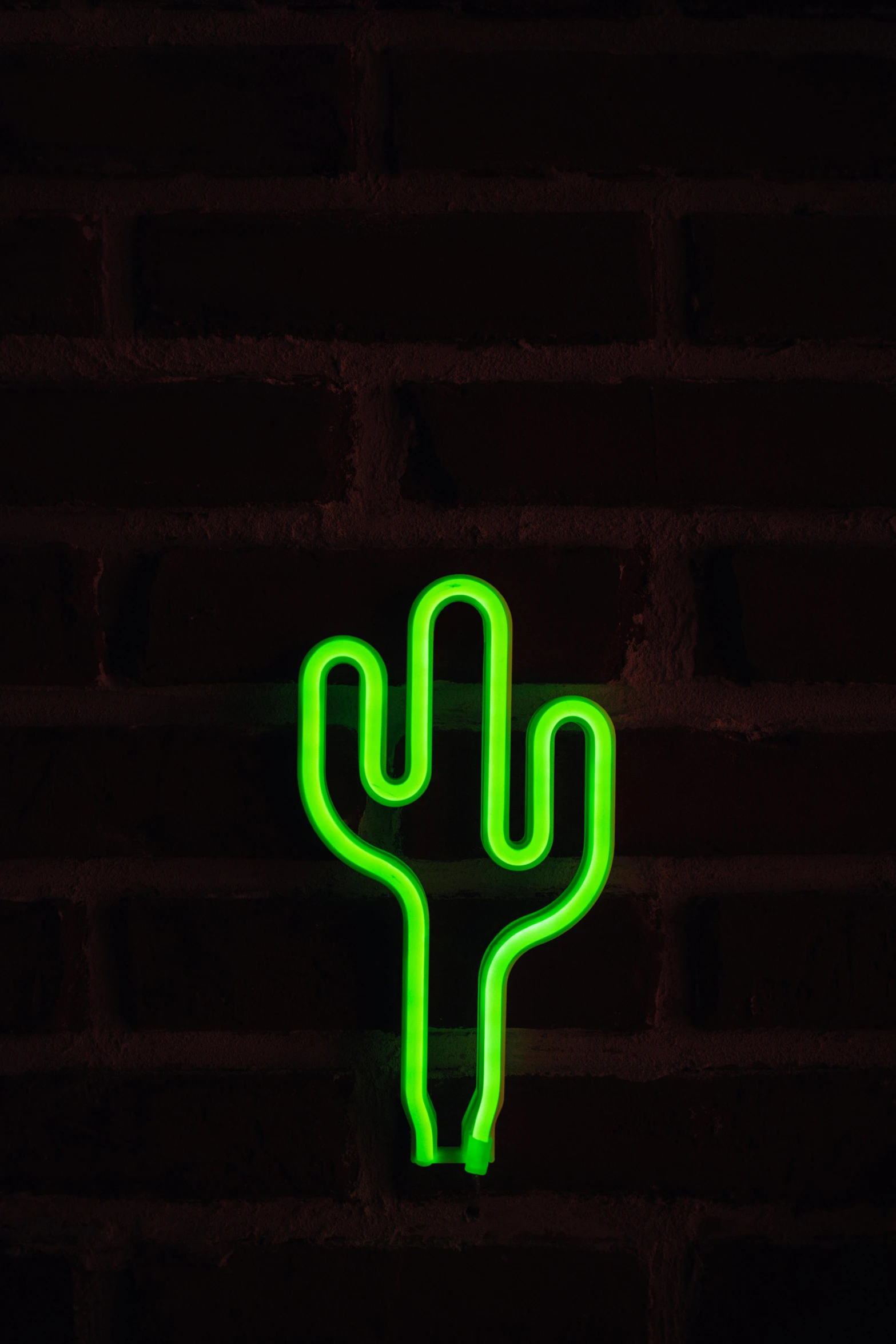 a neon green cactus on a brick wall, inspired by Bruce Nauman, trending on pexels, neon standup bar, neon!! light, desert, mexican