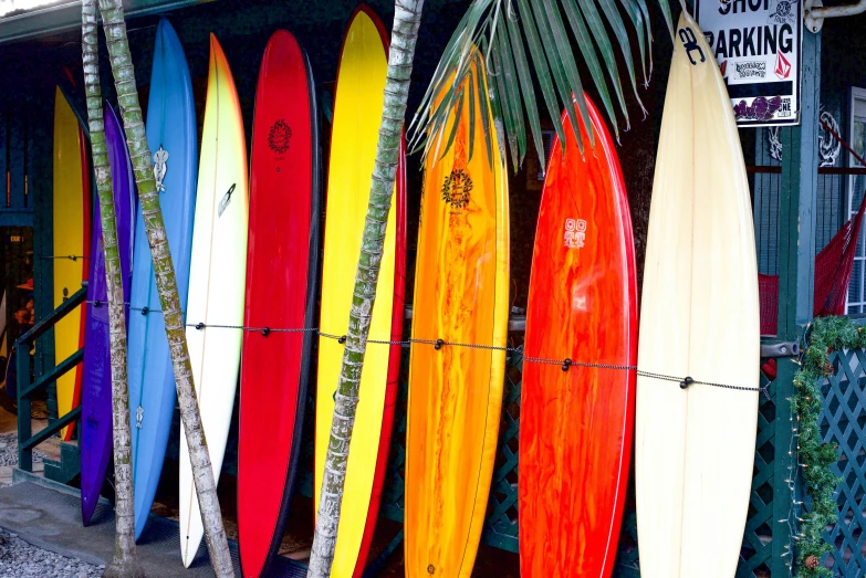 a row of surfboards lined up in front of a building, yellows and reddish black, pipe jungle, shiny colors, a cozy