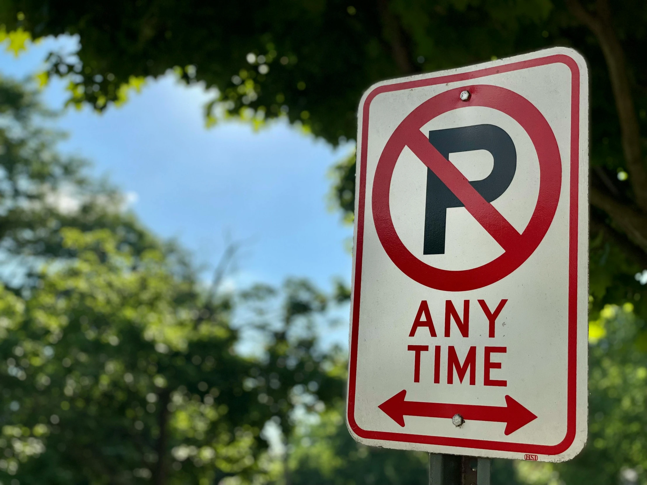a no parking sign in front of a tree, by Bernie D’Andrea, pexels, auto-destructive art, square, afternoon time, intersection, 4 k -