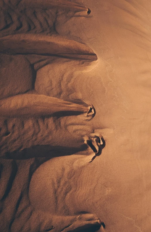 a group of people standing on top of a sandy beach, a cave painting, inspired by Edward Weston, pexels contest winner, australian tonalism, close-up from above, wrinkles, lying down, brown:-2