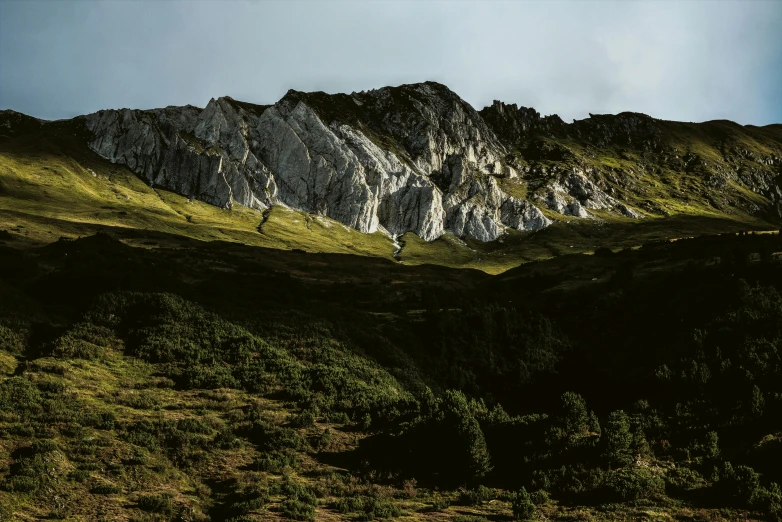 a group of sheep standing on top of a lush green hillside, by Tobias Stimmer, unsplash contest winner, baroque, giant imposing mountain, late afternoon light, dark and white, cinematic view from lower angle