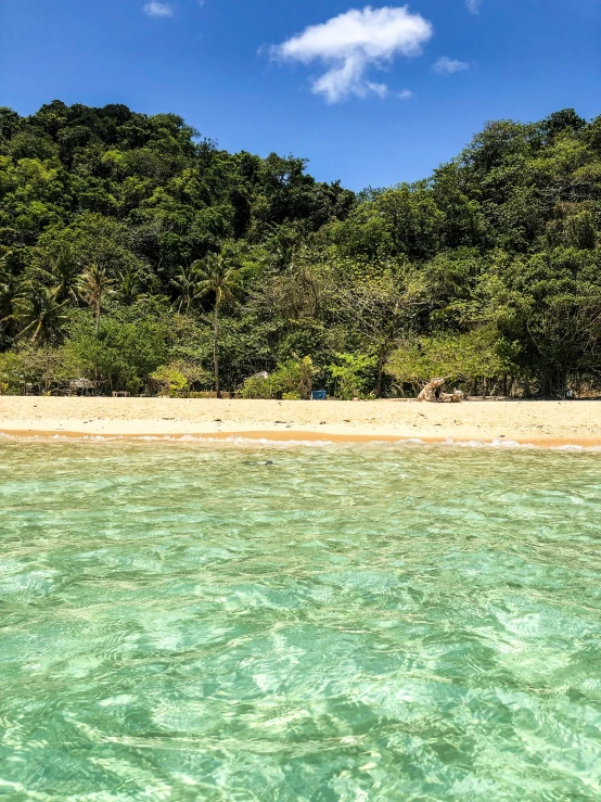 a large body of water next to a sandy beach, lush green, crystal clear, thumbnail, philippines