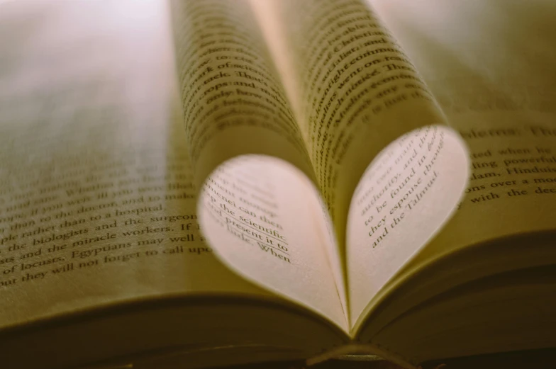 a book with a heart cut out of it, pexels contest winner, soft light from the side, dusty library, thumbnail, 1 2 9 7