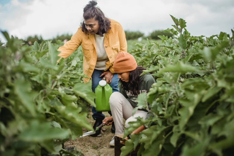 a couple of women standing next to each other in a field, pexels contest winner, picking up a can beans, avatar image, watering can, teaching