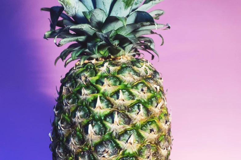 a close up of a pineapple on a table, an album cover, trending on unsplash, hyperrealism, smooth purple skin, vibrant neon pastel, shot from below, 🐿🍸🍋