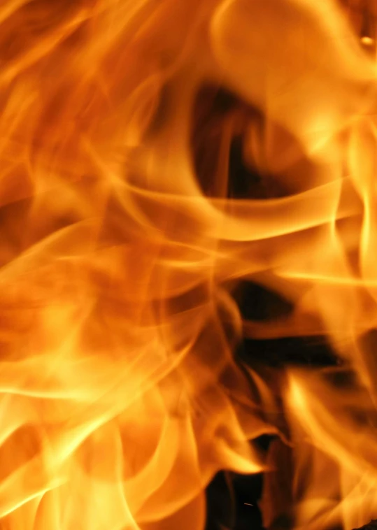 a close up of a fire with flames in the background, profile image, istockphoto, fan favorite, extreme close shot