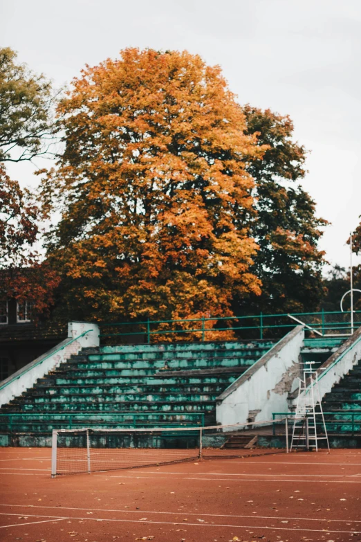 a man standing on top of a tennis court holding a racquet, a colorized photo, inspired by Elsa Bleda, unsplash contest winner, vancouver school, trees with lots of leaves, stairway, on a football field, benches