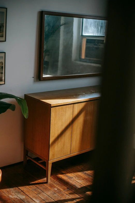 a potted plant sitting on top of a wooden table, unsplash, modernism, old experimentation cabinet, sunlit, ben lo, reflection