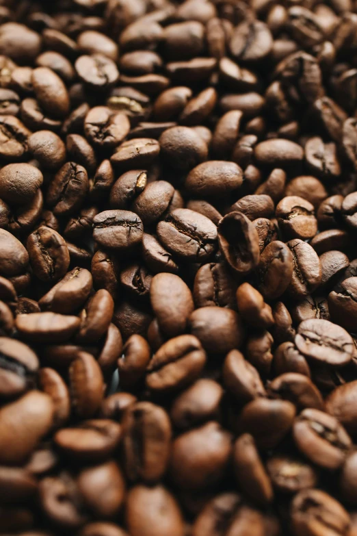 a pile of coffee beans, an album cover, pexels, thumbnail, 8 l, hispanic, multiple stories