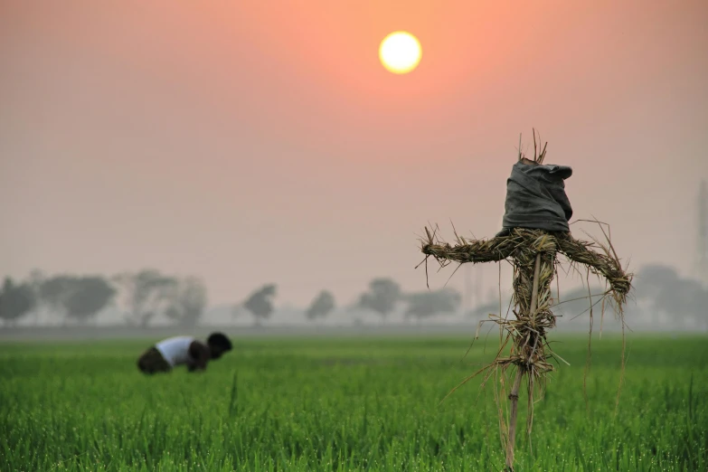 a scare standing on top of a lush green field, by Sudip Roy, pexels contest winner, land art, praying at the sun, scarecrow, hell in the background, zezhou chen