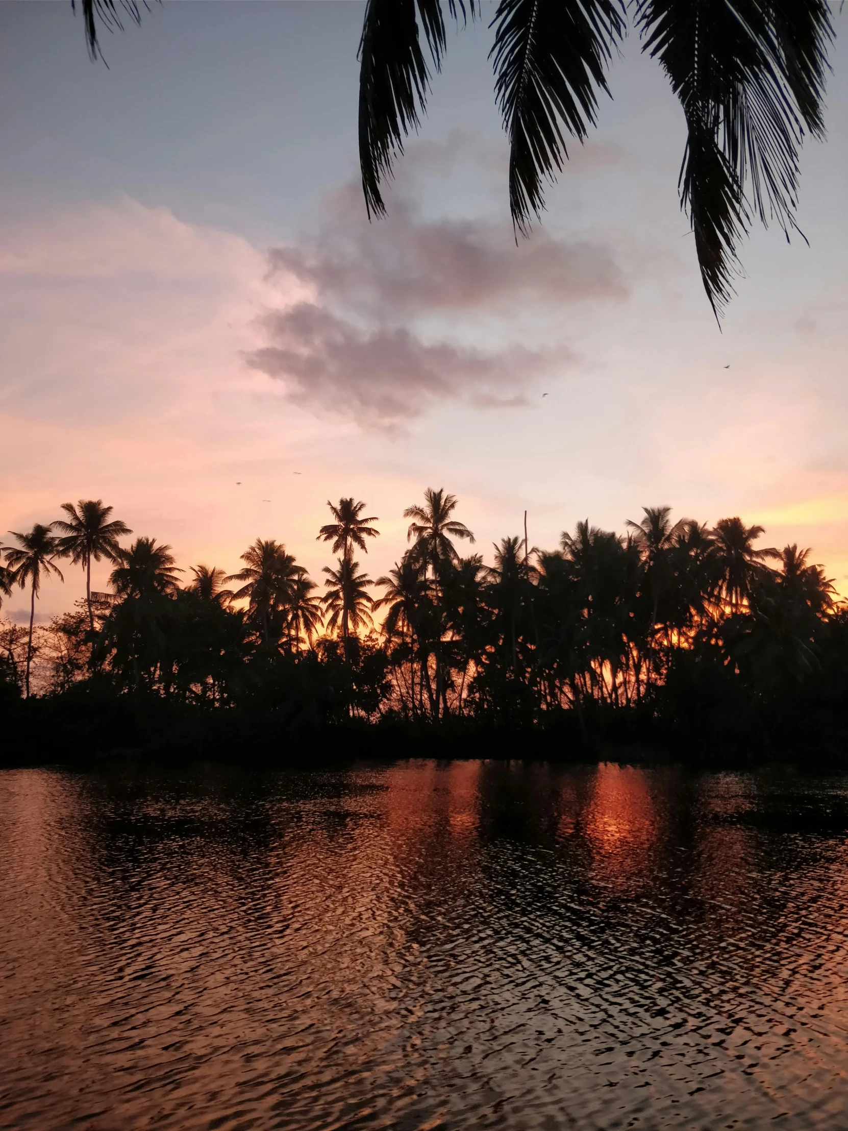 a body of water with palm trees in the background, pexels contest winner, kerala village, sun down, low quality photo, multiple stories