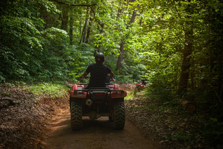 a man riding an atv through a forest, unsplash, avatar image, rear-shot, profile image, outdoor photo