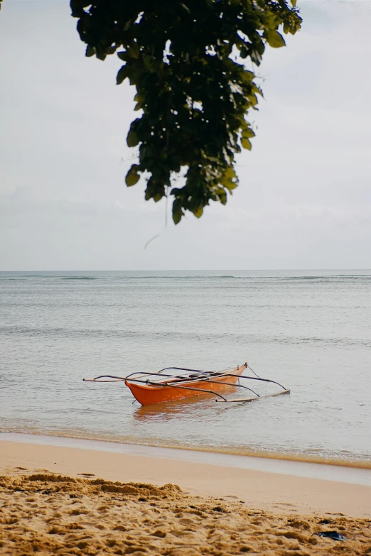 a boat sitting on top of a beach next to the ocean, sitting under a tree, manila, in the ocean, skiff