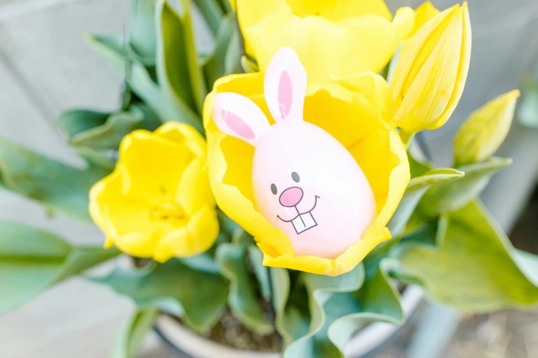 a close up of a potted plant with yellow flowers, a cartoon, by Elaine Hamilton, pexels contest winner, happening, rabbit shaped helmet, translucent eggs, pink, high angle close up shot