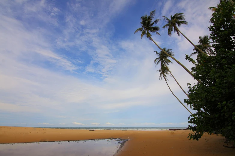 a body of water sitting on top of a sandy beach, hurufiyya, coconut trees, red sand, big sky, landscape photo