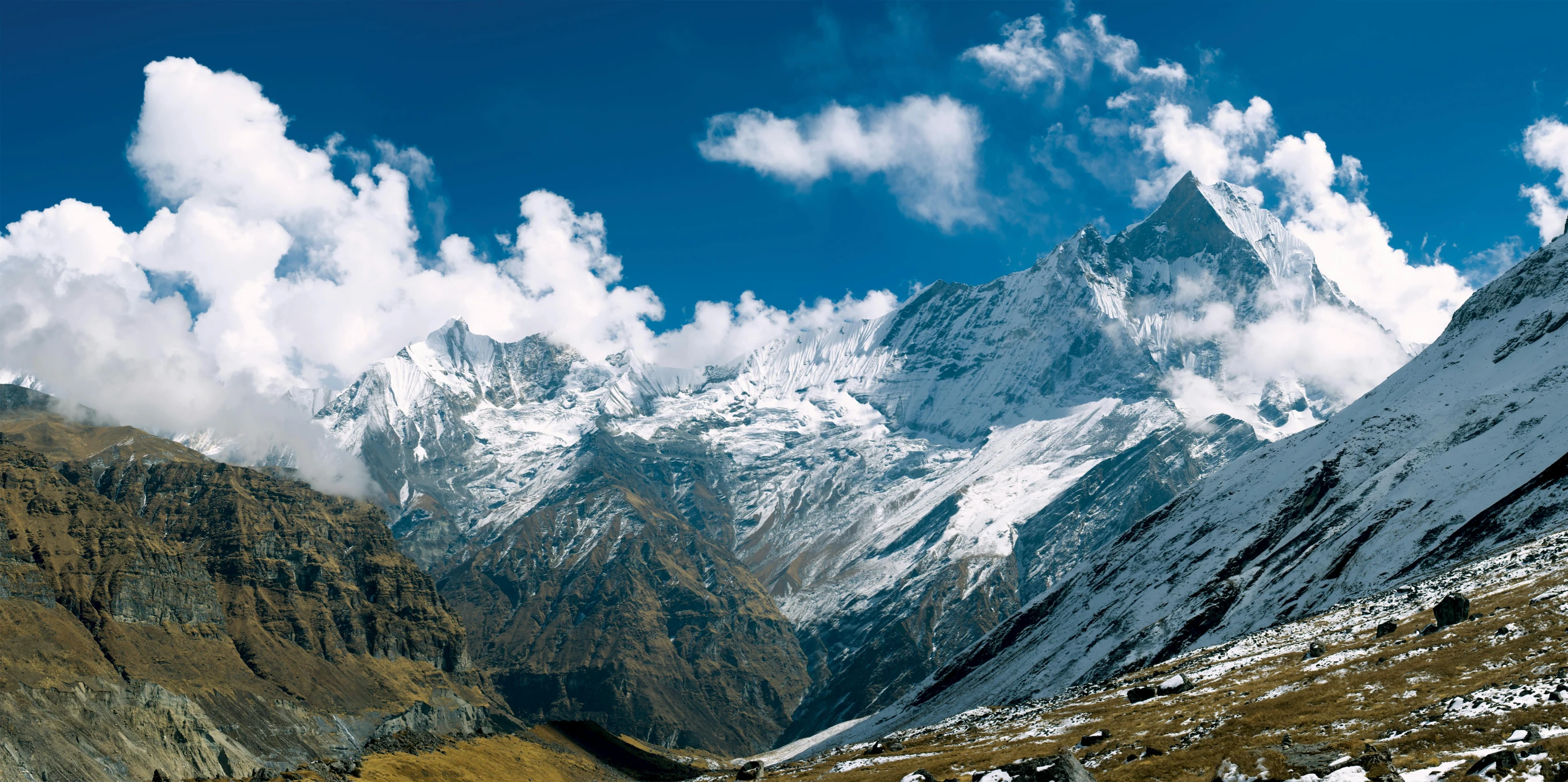 a group of sheep grazing on the side of a mountain, trending on unsplash, hurufiyya, nepal, panoramic shot, 2000s photo, glacier