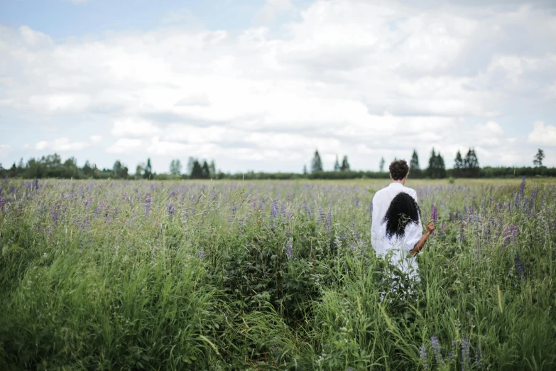 a man standing in a field of tall grass, unsplash, land art, lilacs, quebec, white, salvia