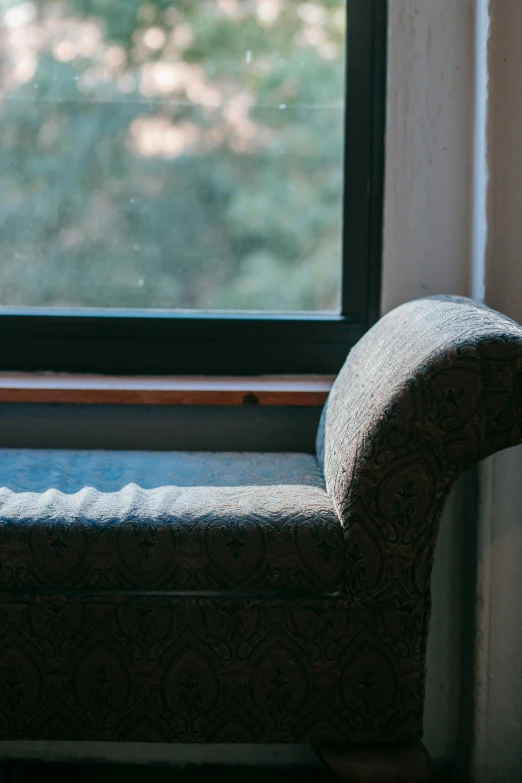 a cat sitting on a couch in front of a window, by Elsa Bleda, unsplash, bench, gnarly details soft light, half turned around, window ( rain )