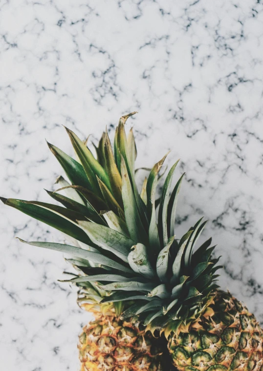 two pineapples sitting on top of a marble counter, by Carey Morris, trending on unsplash, background image, grey, full frame image, greens)