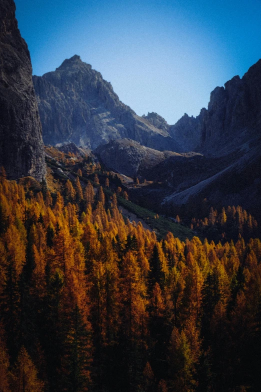 a forest filled with lots of trees next to a mountain, by Peter Churcher, unsplash contest winner, baroque, medium format color photography, ochre, majestic spires, italy