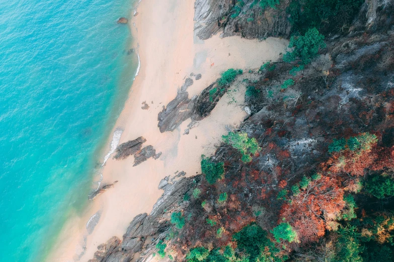 a bird's eye view of a sandy beach, pexels contest winner, detailed trees and cliffs, vivid colours, thumbnail, coastal