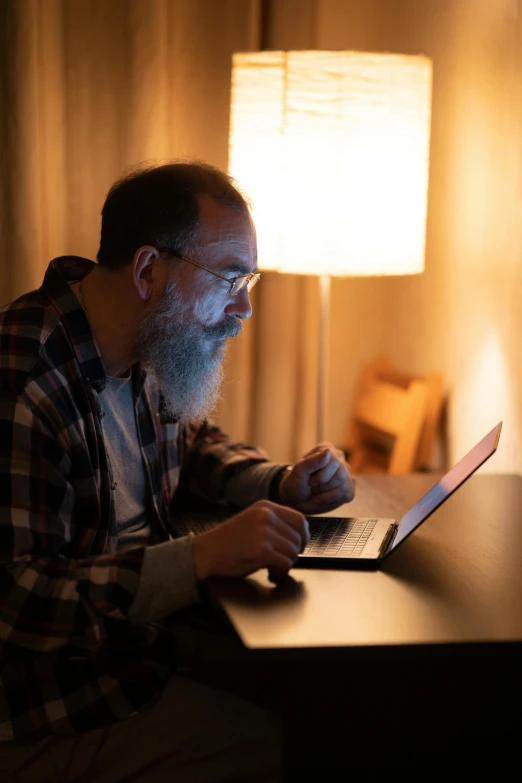 a man sitting in front of a laptop computer, by Greg Rutkowski, grizzled beard, during the night, 2 5 6 x 2 5 6 pixels, scott adams