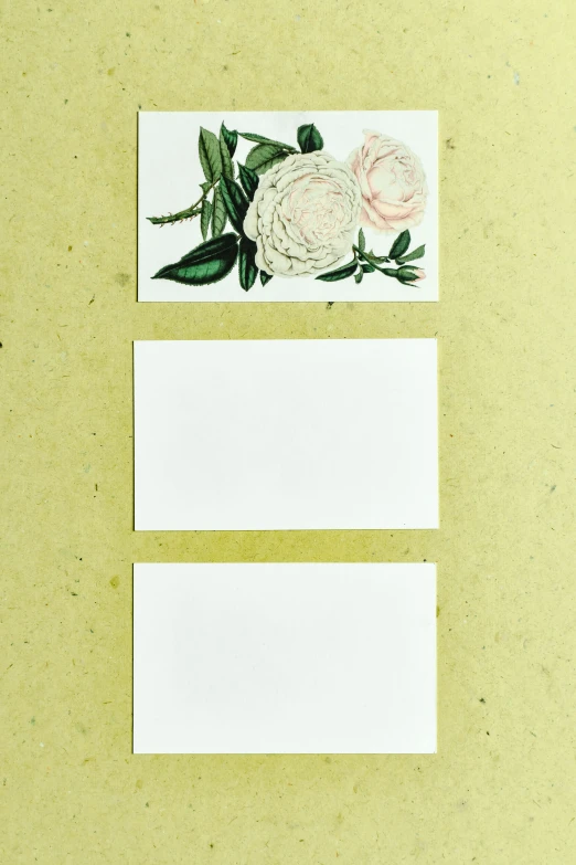 a couple of cards sitting on top of a table, inspired by Martin Johnson Heade, unsplash, mail art, plain background, 3 - piece, botanical, business card