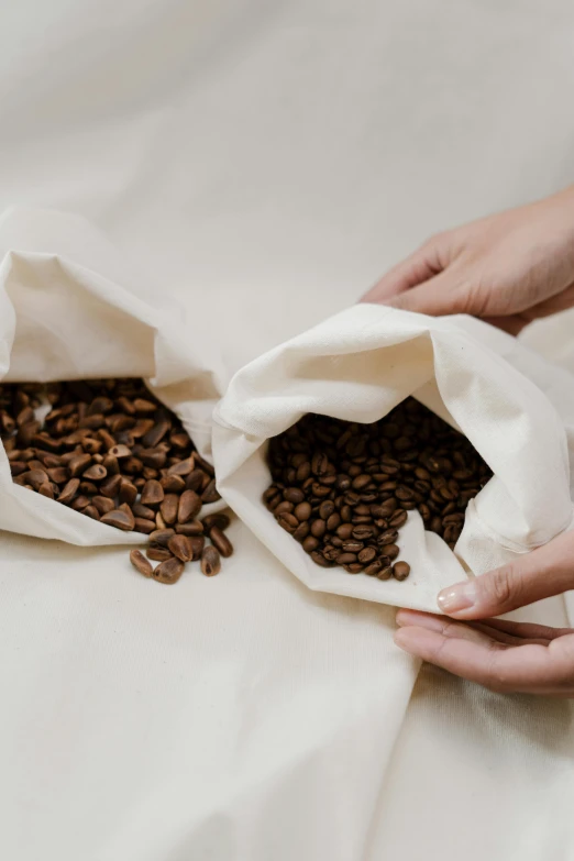 a person holding two bags of coffee beans, process art, parchment paper, highly capsuled, width, breakfast
