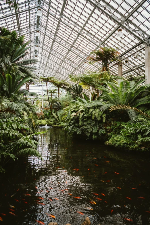 a pond in a greenhouse filled with lots of plants, inspired by Elsa Bleda, unsplash contest winner, environmental art, 2 5 6 x 2 5 6 pixels, chicago, archways made of lush greenery, frank gehry