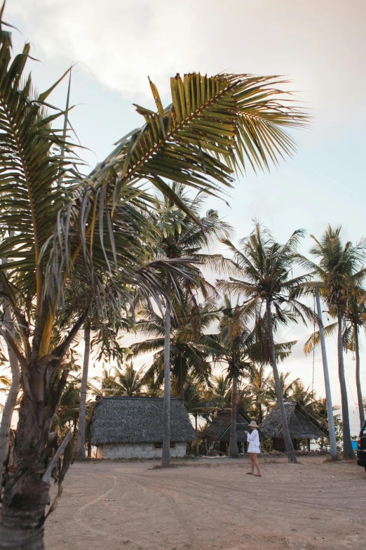 a couple of palm trees sitting on top of a sandy beach, tribe huts in the jungle, sun down, somalia, wedding