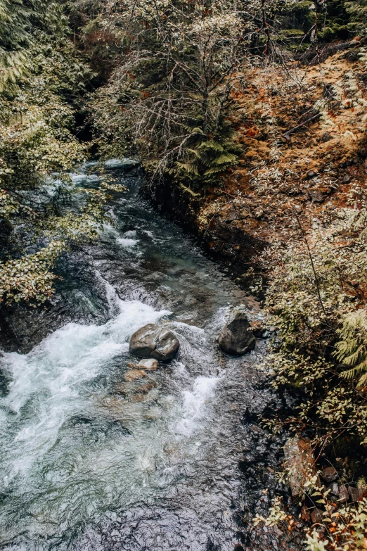 a river running through a lush green forest, an album cover, unsplash contest winner, hurufiyya, 2 5 6 x 2 5 6 pixels, chile, muted fall colors, gorgeous 4 k